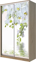 Шкаф-купе 2-х дверный с фотопечатью Белая орхидея 2200 1682 620
